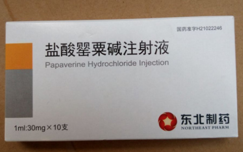 盐酸罂粟碱注射液