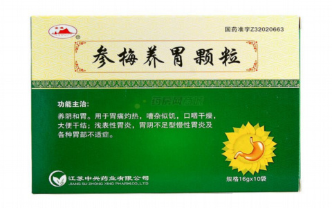 参梅养胃颗粒