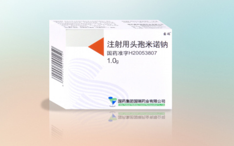  注射用头孢米诺钠
