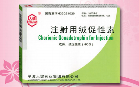 注射用绒促性素
