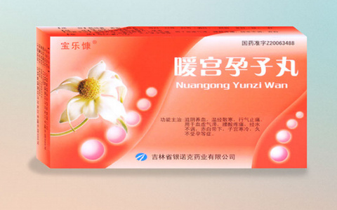 暖宫孕子丸