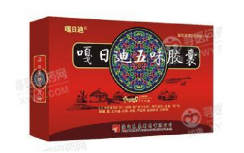 嘎日迪五味胶囊