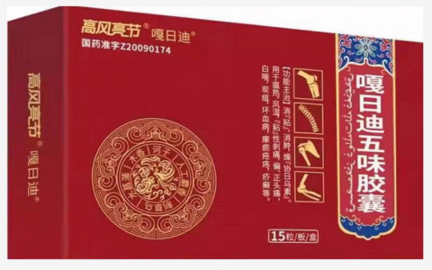 嘎日迪五味胶囊